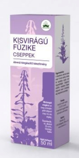 KISVIRÁGÚ FÜZIKE CSEPP.jpg